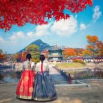 Bật mí kinh nghiệm du lịch Hàn Quốc dịp Tết cho chuyến đi thêm ý nghĩa