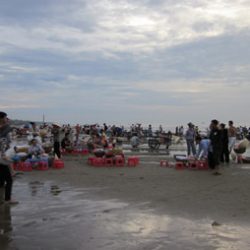 Chợ hải sản ăn liền trên biển đặc biệt ở Sầm Sơn